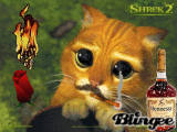 le chat picole