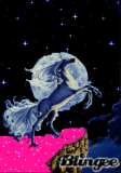 licorne by nico(mon frère)