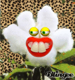 Sexy Cotton