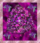 purple passion amethyst