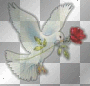Dove