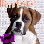 WBR Happy Sunday WBR Happy Sunday
