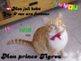 Mon prince Tigrou