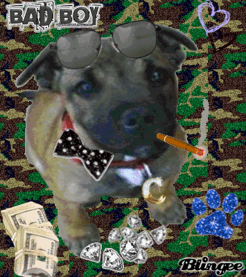 Lil' gangster Carlos Lil' gangster Carlos
