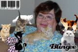 LOVE CATS