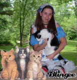cats