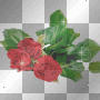 XOXOX*ROSES*XOXOX