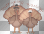 Thanksgiving blessings