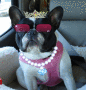 fiona