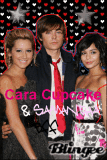 cara cupcake 16