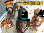 T-day