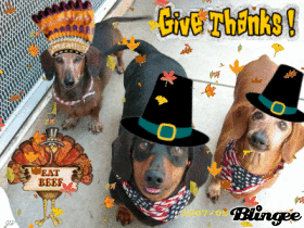 T-day