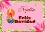nydia