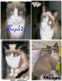 saph