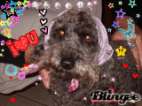 Tuturmonchien