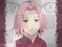 sakura sakura