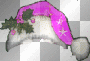 Image Add-On