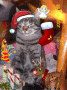 Happy Holidays Jimmy!