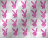 playboy bunnies