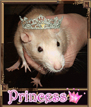 Kiki the Princess
