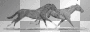galop2