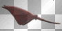 Rayfish