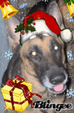 ZASHA CHRISTMAS ZASHA CHRISTMAS