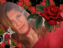 red roses & me