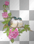 Vogelpärchen auf Rosenzweig