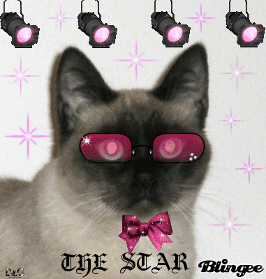 Sissy the Star