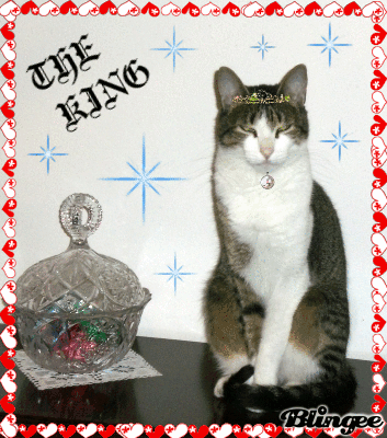 WILLY O REI DO PEDAçO