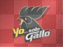 gallo