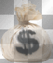 money bag