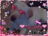 misty baby misty baby