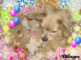 BEBITO