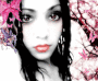 Cherry Blossom