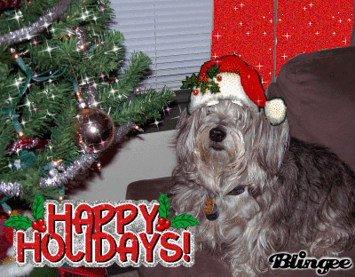Happy Holidays frida