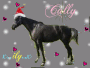 Cally