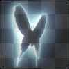 Reflecting Butterfly