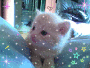 Pilou <3 Pilou <3