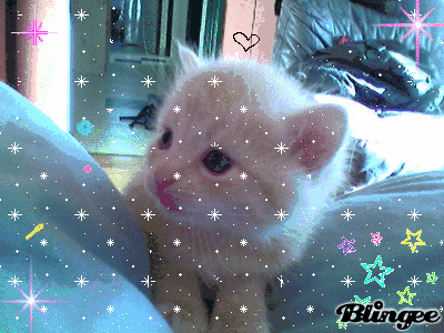 Pilou <3 Pilou <3