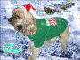 Merry Christmas and Happy New Year