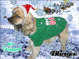 Merry Christmas and Happy New Year