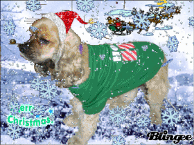 Merry Christmas and Happy New Year
