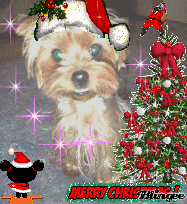 joyeux noel