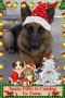 rocko santa claus!