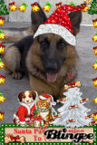 rocko santa claus!
