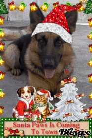 rocko santa claus!