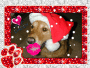 Merry Christmas from Simon