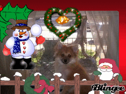 merry christmas merry christmas